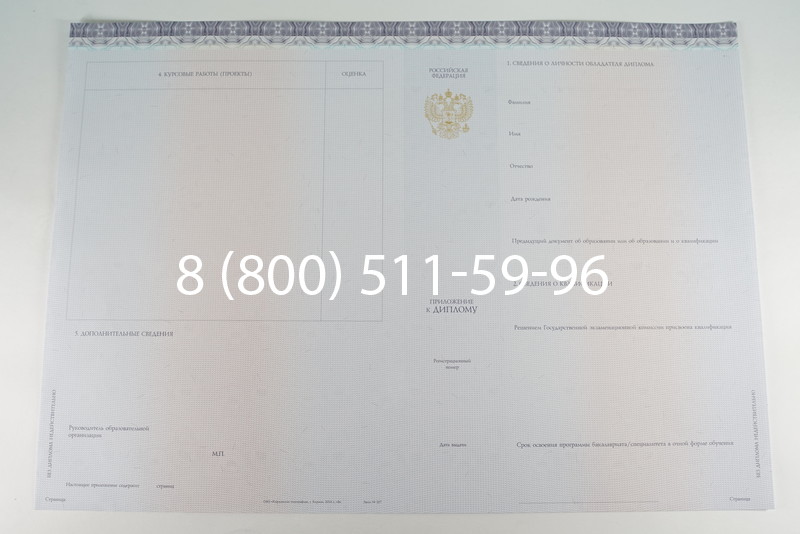 Диплом бакалавра (Киржач) 2014-2024 года в Владикавказе Диплом бакалавра (Киржач) 2014-2024 года в Владикавказе